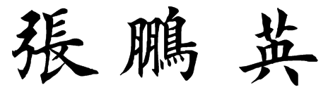 张鹏英           毛笔楷书写法(仅供参考)