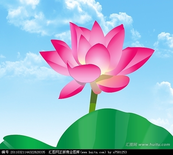 黑板报的荷花怎么画