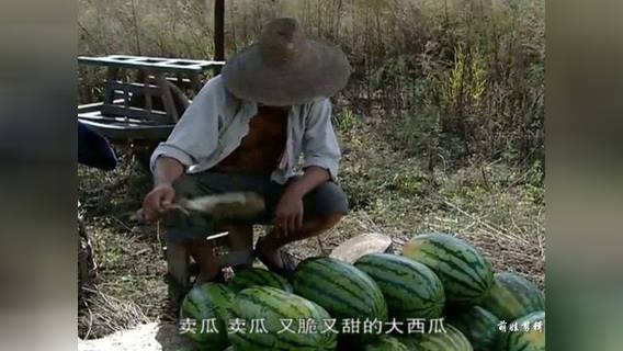 小兵张嘎:这段买瓜卖瓜还真搞笑,把买瓜的都要整懵了