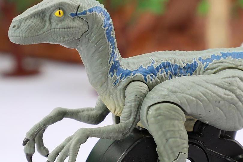 视频: 侏罗纪世界 电影追击系列之迅猛龙布鲁玩具分享