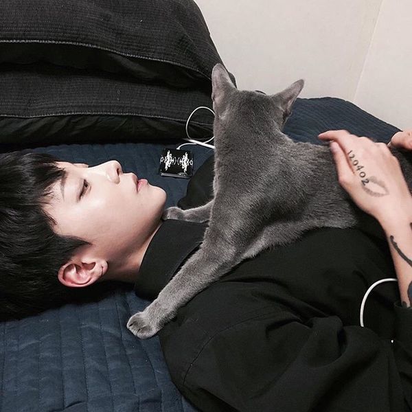 求一情侣头像女生部分,男生的是抱着一只猫,上图