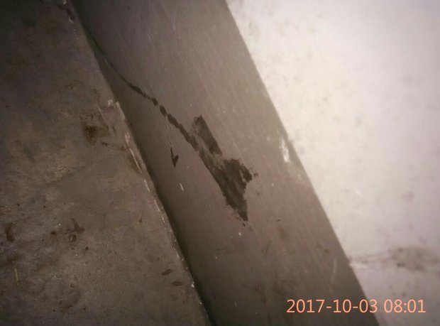 家里出现这虫子,黏糊糊的,还有两个触手,不是蚂蟥吧