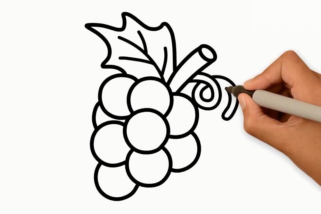 水果简笔画大全视频