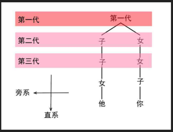 亲生兄弟姐妹算直系亲属还是旁系亲属?