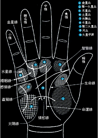 一,生命线的识别与看法