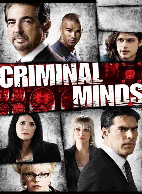 犯罪心理第6季ashley,为什么《犯罪心理》第六季的新探员ashley?
