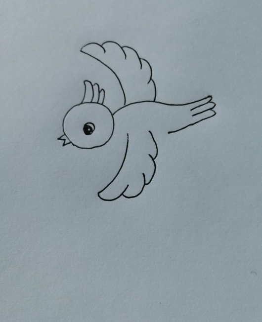 怎样画小鸟图片