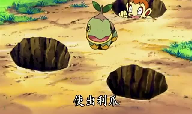 神奇宝贝草苗龟被完全压制,最后输掉比赛小智自责不已