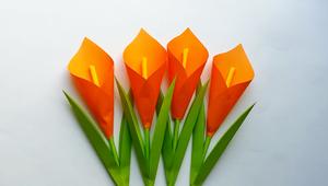 幼儿简易手工,简单折纸黏贴就是一朵朵橘色3d马蹄莲郁金香花朵