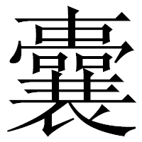 囊字 怎么写?