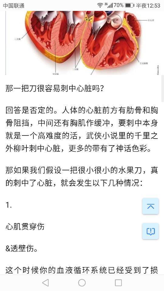 护心骨在哪,什么样的
