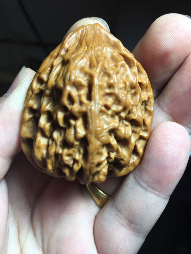 高手指点一下是不是树脂核桃