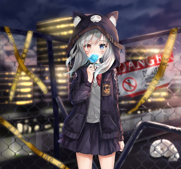 求一个银发异色瞳的动漫少女出处