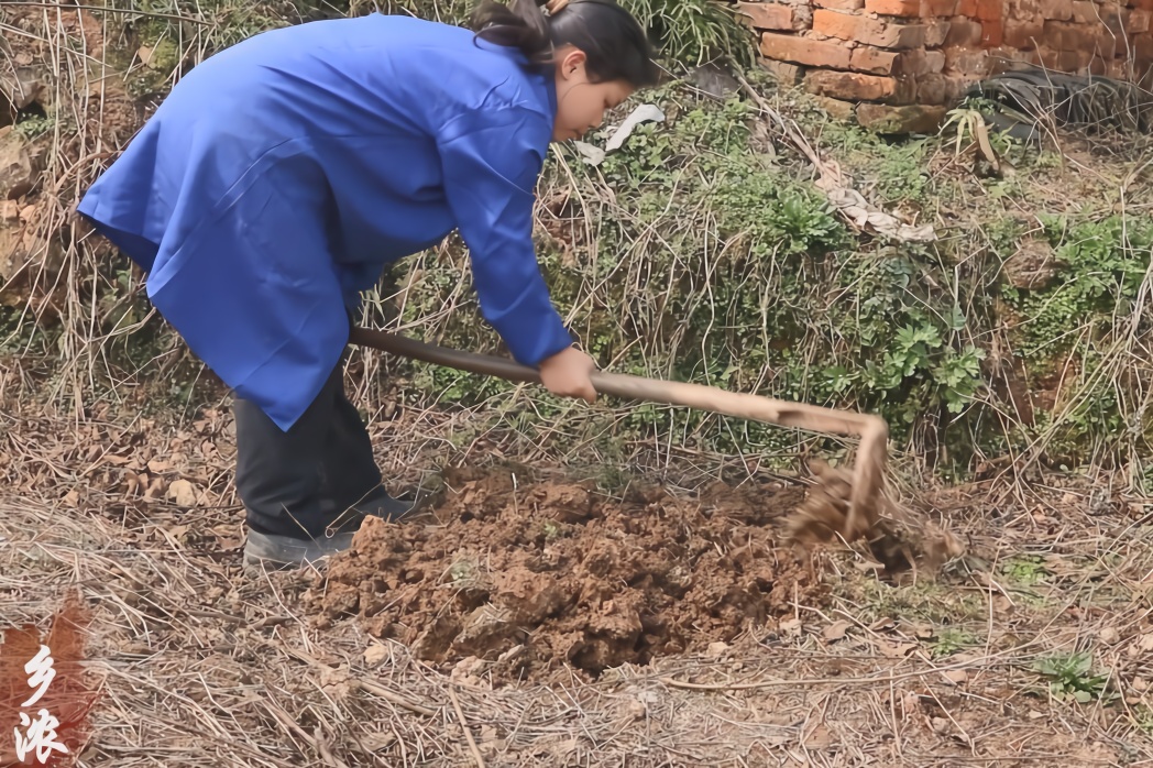 湖南女人无人村庄开荒种地,过着日出而作日落而息的日子