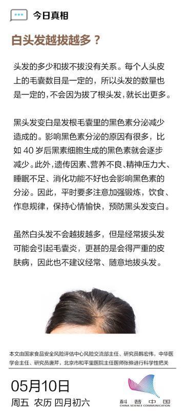 白头发越拔越多,是真的么