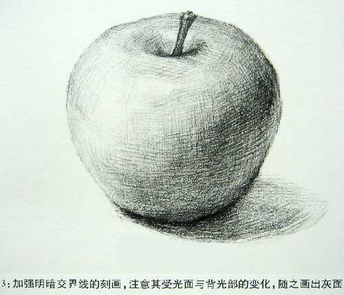 素描入门教程 怎么画一个苹果