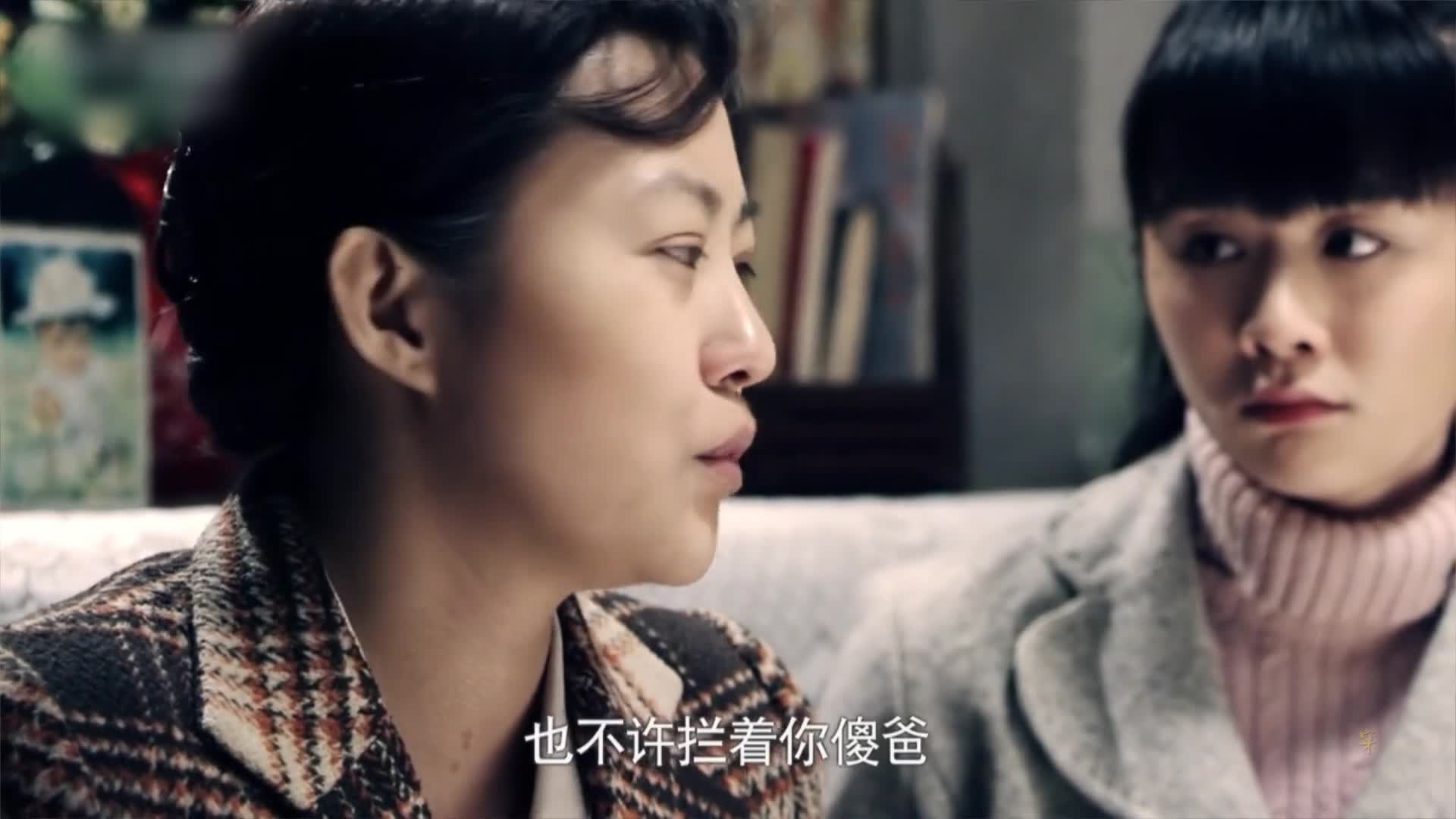 电视剧《情满四合院》片花 郝蕾为爱要离婚 何冰各种不顺眼