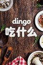 dingo 吃什么 2016封面