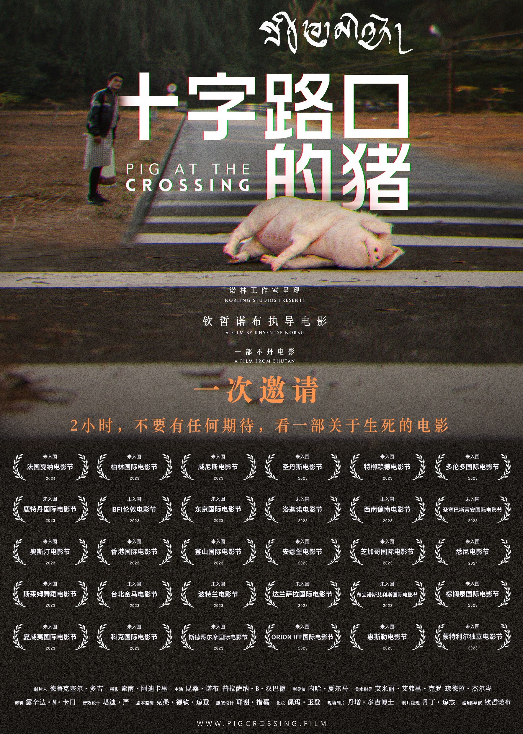 十字路口的猪