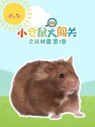 小仓鼠大闯关之丛林篇 第1季