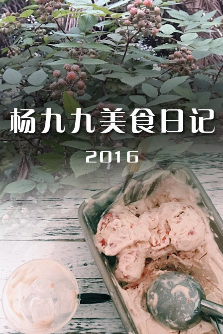 杨九九美食日记 第一季