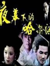 夜幕下的哈尔滨84版