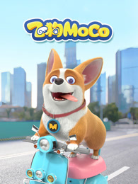 飞狗MOCO 第1季
