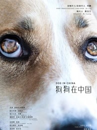 狗狗在中国封面