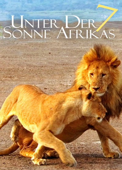 走进非洲7拂晓之狮