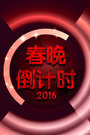 辽宁卫视春晚倒计时2016