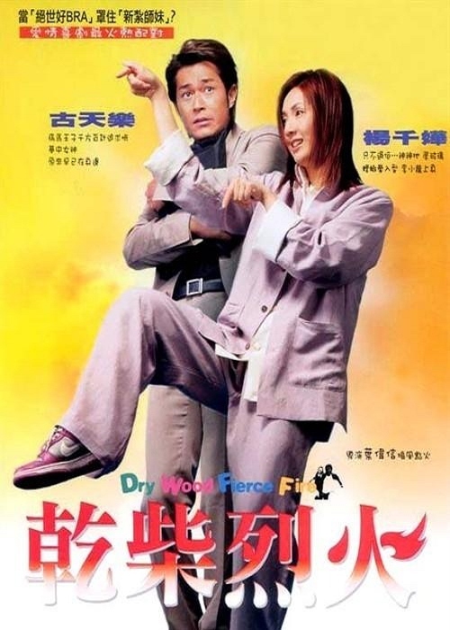 干柴烈火（2002）