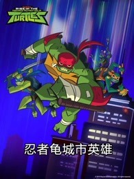 忍者龟城市英雄封面