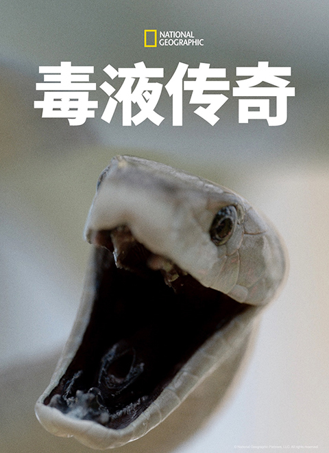 毒液传奇（Legends of Venom Season 1）