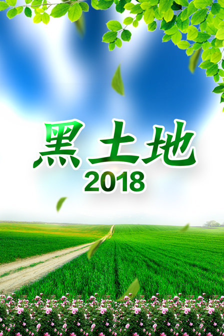 黑土地 2018 2018年