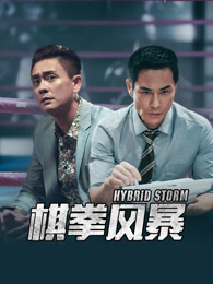 棋拳风暴 粤语