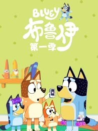 布鲁伊 第1季