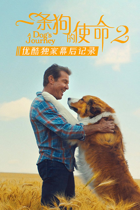 《一条狗的使命2》优酷独家幕后记录封面