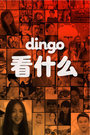 dingo 看什么 2016封面