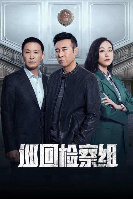 巡回检察组 TV版封面