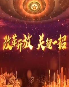 改革开放关键一招