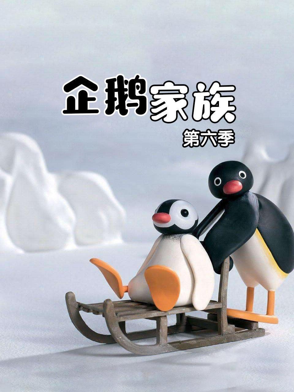 企鹅家族 第六季