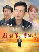 驻村第一书记
