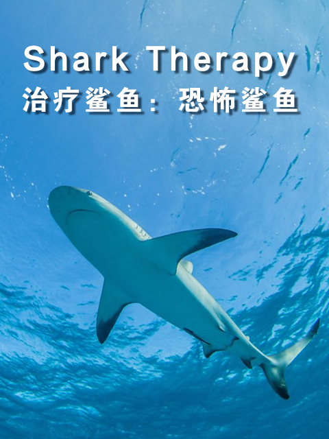 治疗鲨鱼:恐怖鲨鱼