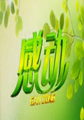 感动黑龙江卫视2013