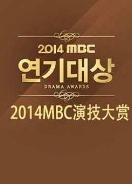 2014MBC演技大赏封面