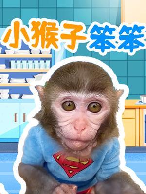 小猴子笨笨