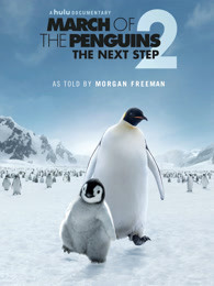 ‘~帝企鹅日记2：召唤 小企鹅大长征2(港),March of the Penguins 2: The Call HD电影完全无删版免费在线观赏_剧情片_  ~’ 的图片