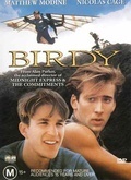 鸟人（1984）