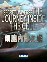 BBC：细胞内部之旅
