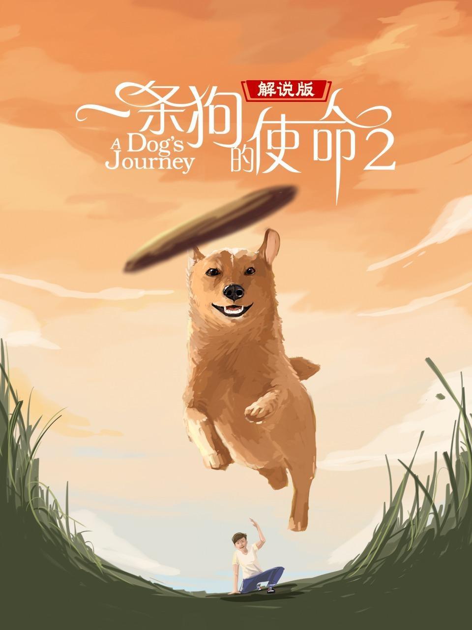 一条狗的使命2 解说版